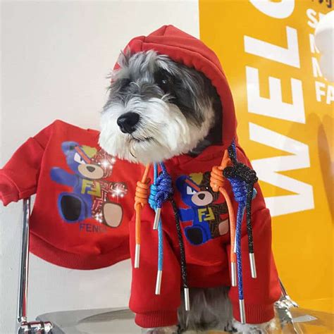 fendi clothes for dogs|buy Fendi online official website.